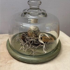 Decorative Glass Cloche with Green Base